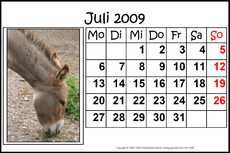 7-Juli-2009-quer.jpg